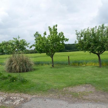 Woodview B Colchester Birch Buitenkant foto