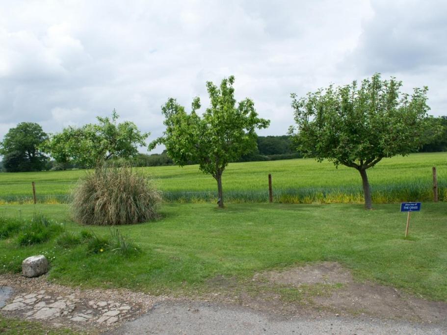 Woodview B Colchester Birch Buitenkant foto
